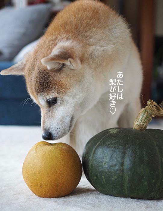 17日夜ブログ３