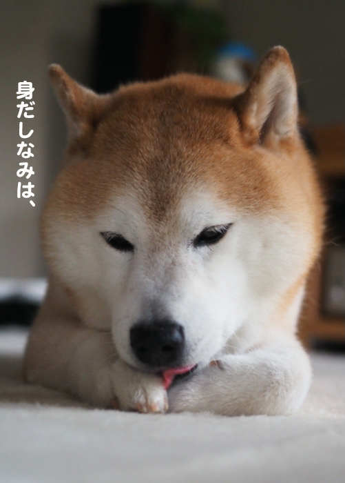 26日夜ブログ2