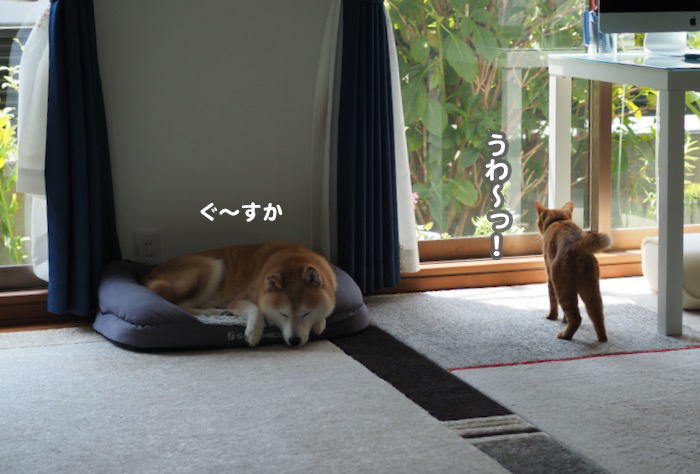 12日ブログ１