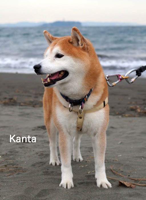 9日ブログ３