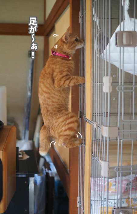 19日夕ブログ５