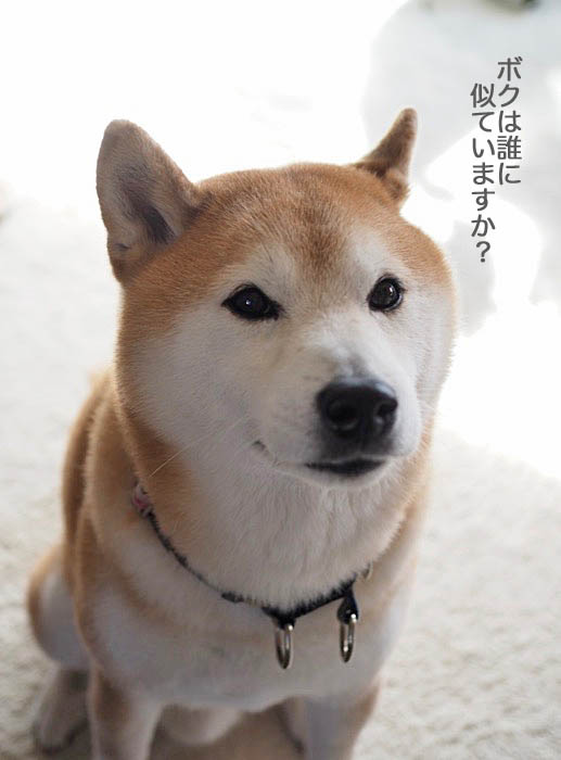 13日ブログ５