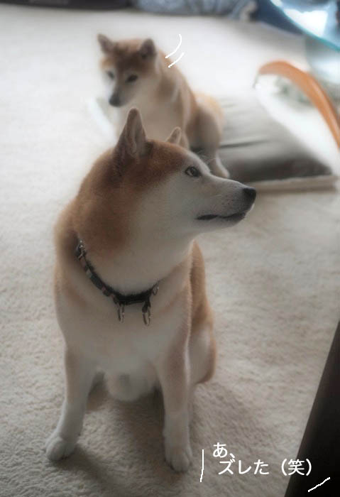 3日ブログ５