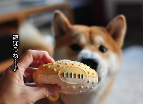 22日ブログ3.jpg