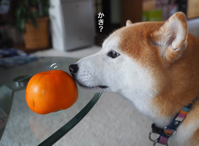 19日ブログ２