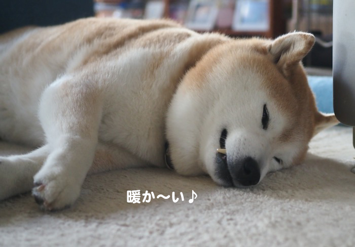 20日ブログ２