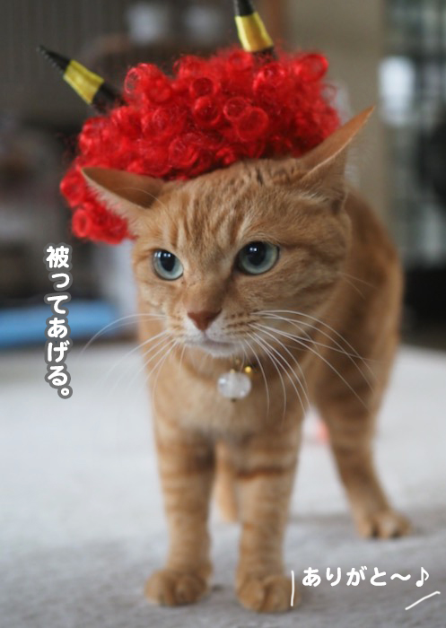 3日夕ブログ３