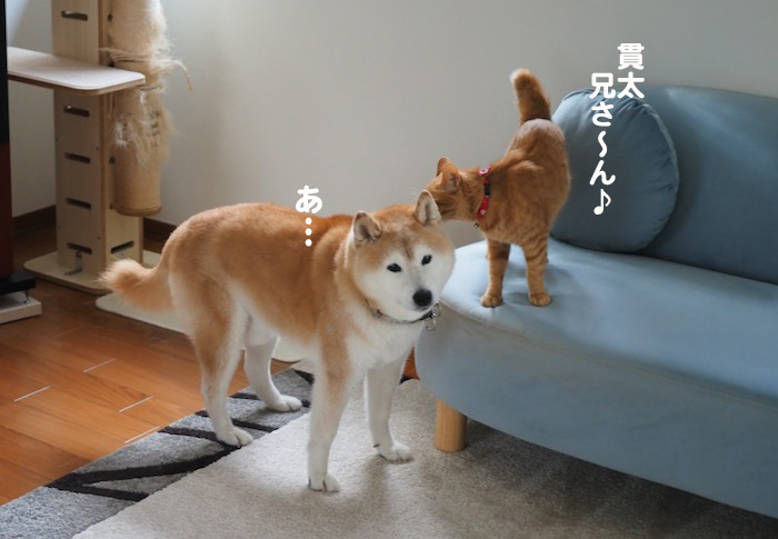 13日夕ブログ２