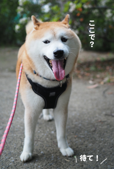 23日ブログ２