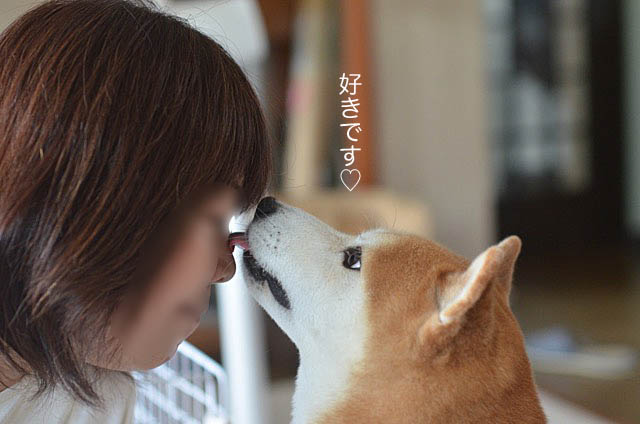 22日ブログ12