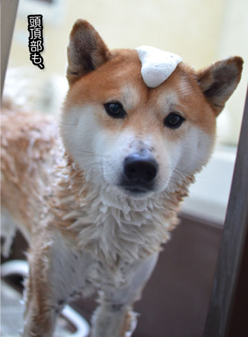 28日ブログ9.jpg