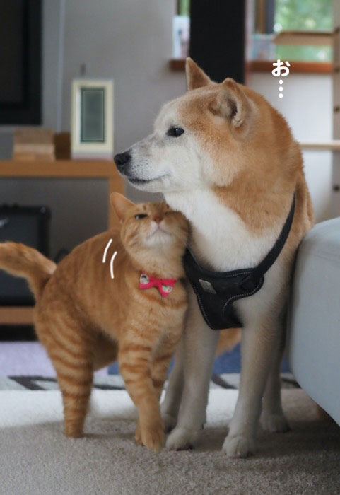 15日ブログ１