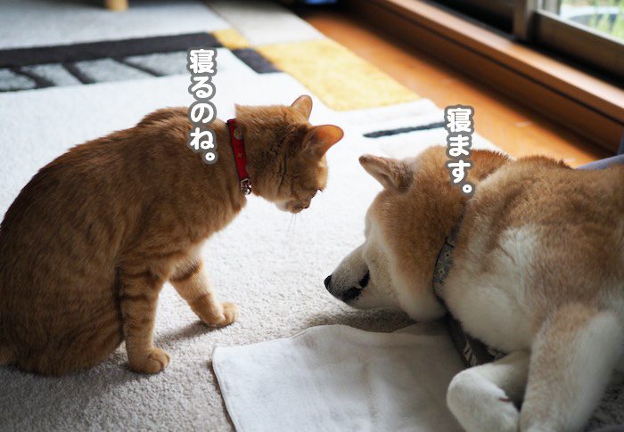 26日ブログ５