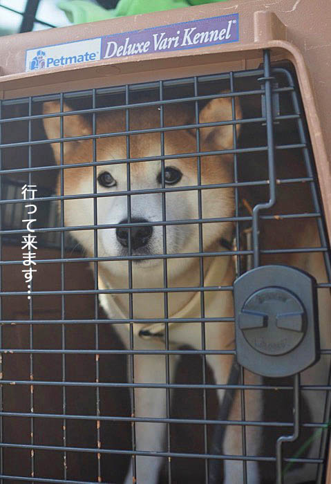 27日ブログ９