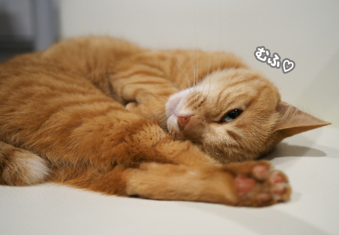 18日の夕ブログ5