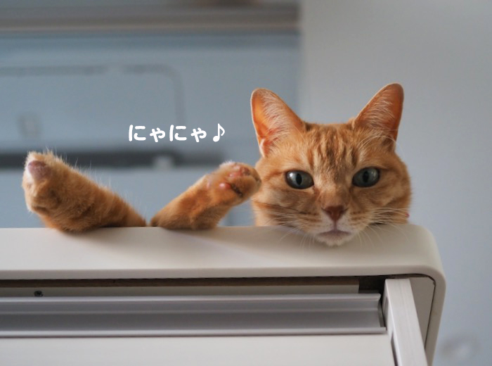 14日夕ブログ９