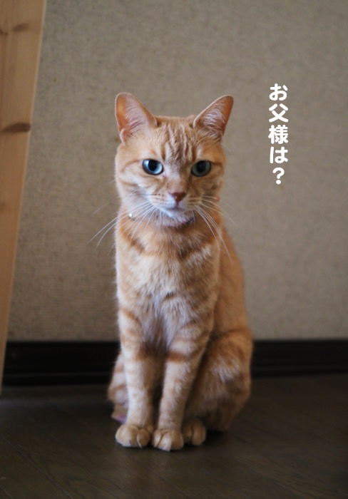 20日夕ブログ３