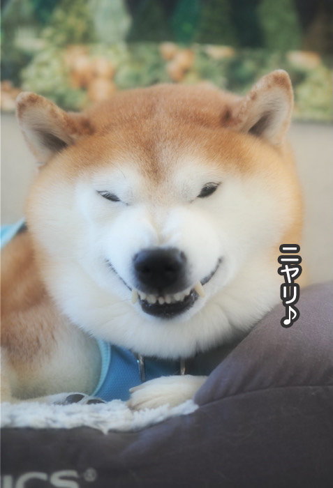 24日夜ブログ７