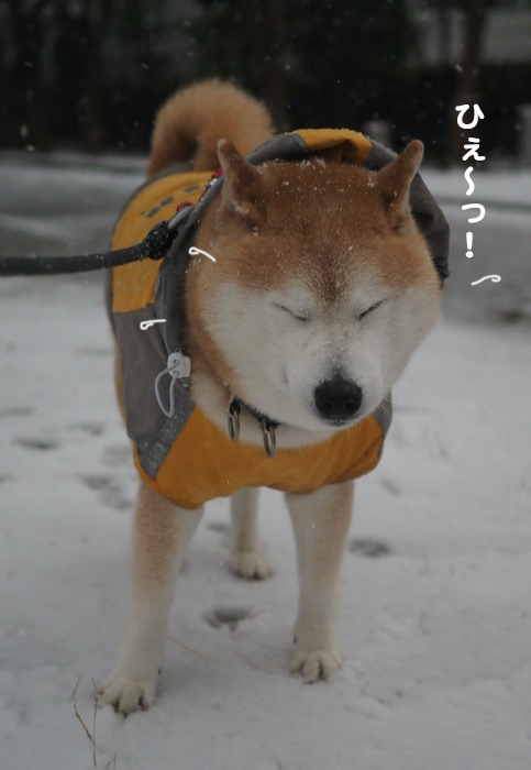 5日夕ブログ３