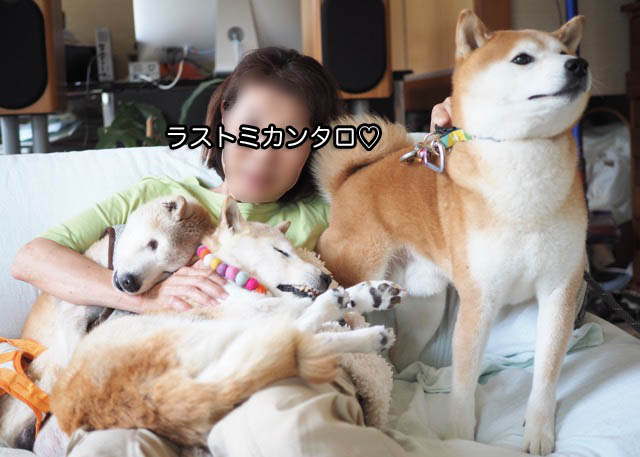 15日ブログ7