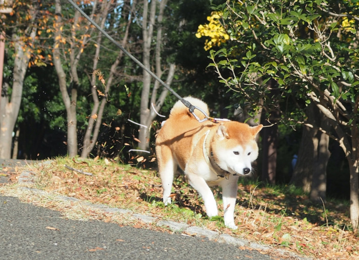 5日ブログ３