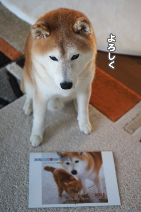 17日夕ブログ７