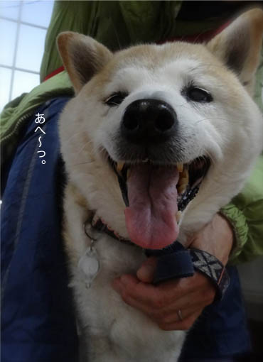 21日ブログ7.jpg