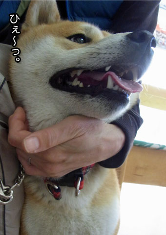 9日ブログ6.jpg