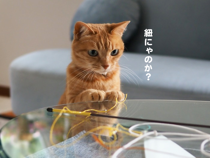 25日夕ブログ５