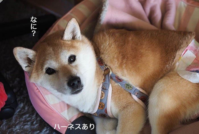 10日ブログ６