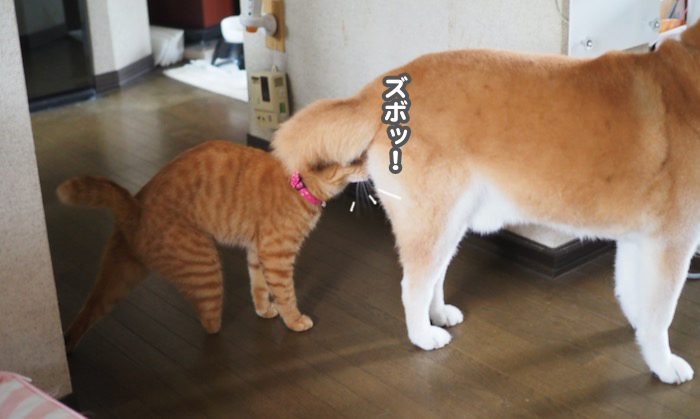 30日夕ブログ３
