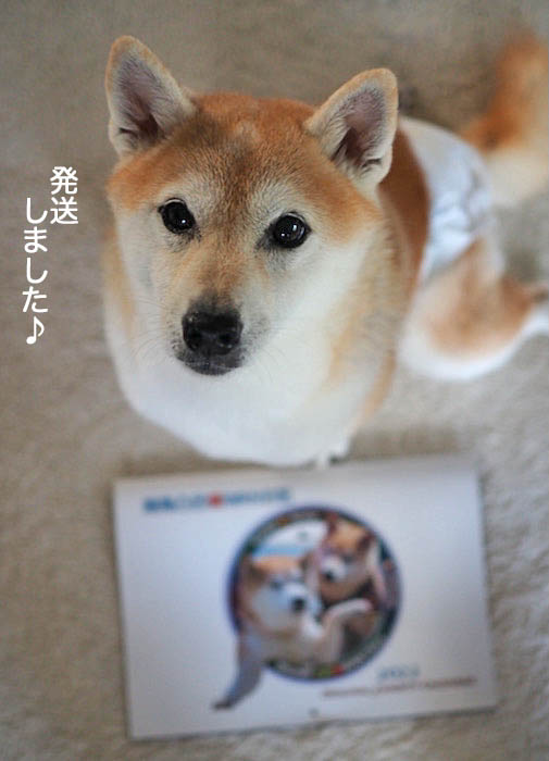 10日夜ブログ４