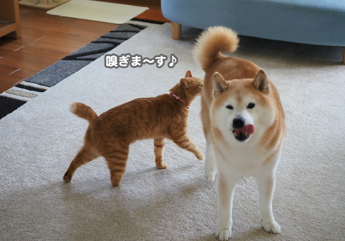 13日夕ブログ4