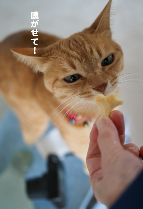 7日ブログ3