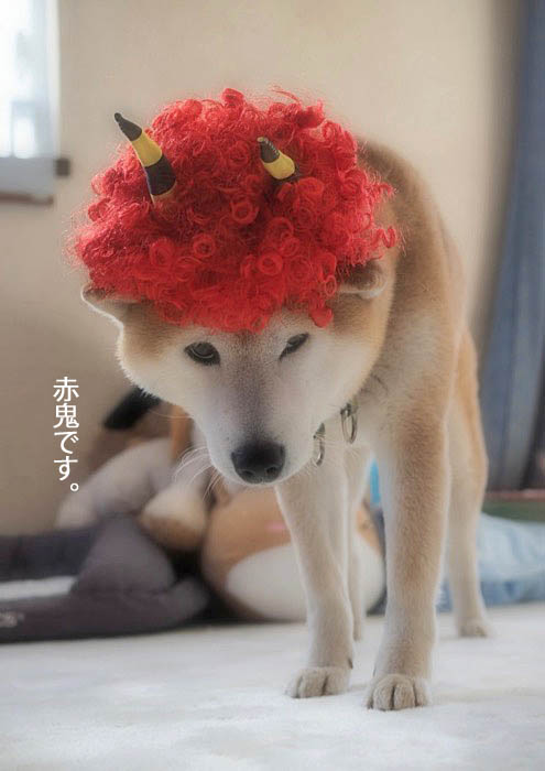 3日ブログ２