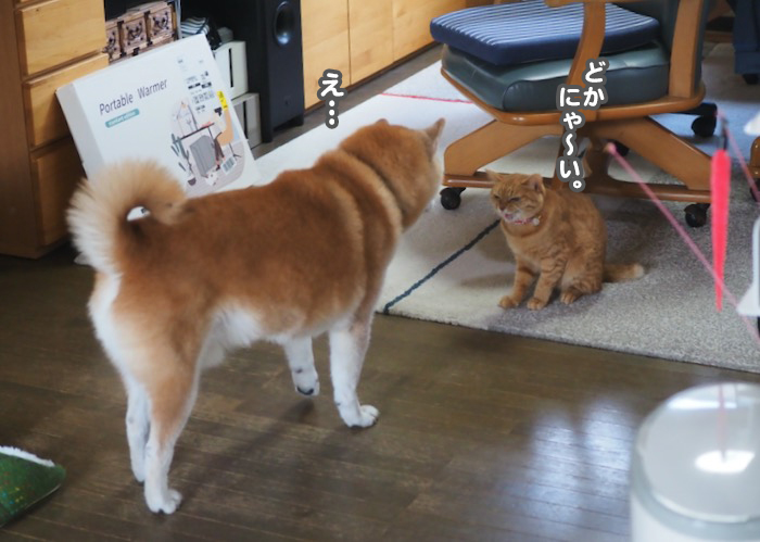 5日ブログ３
