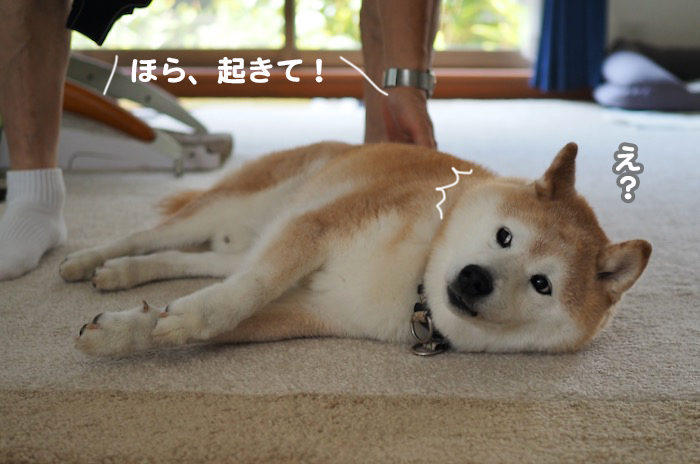 7日ブログ４