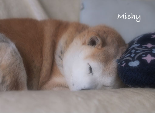 7日ブログ４.jpg