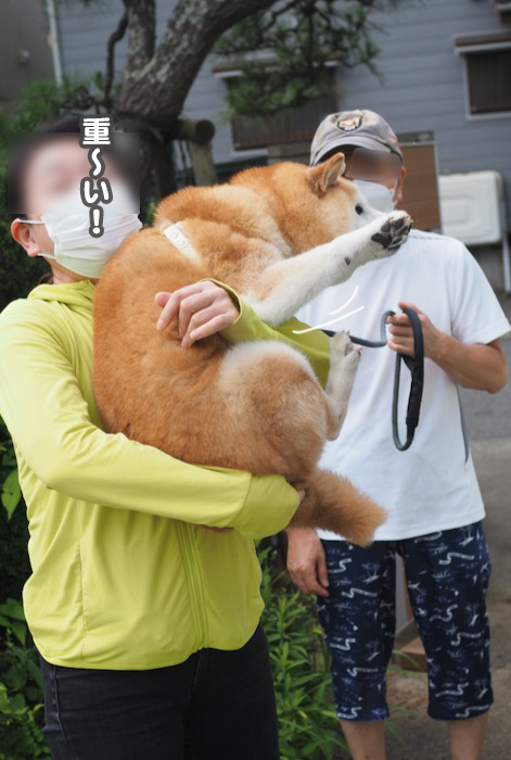 20日夕ブログ９