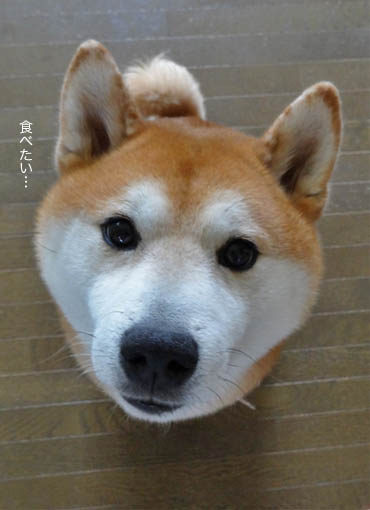 31日ブログ5.jpg