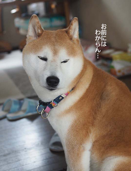 23日ブログ５