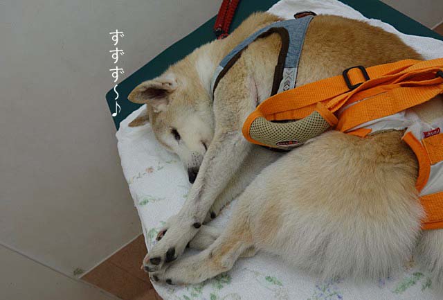 10日ブログ4