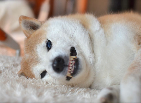 5日ブログ5.jpg