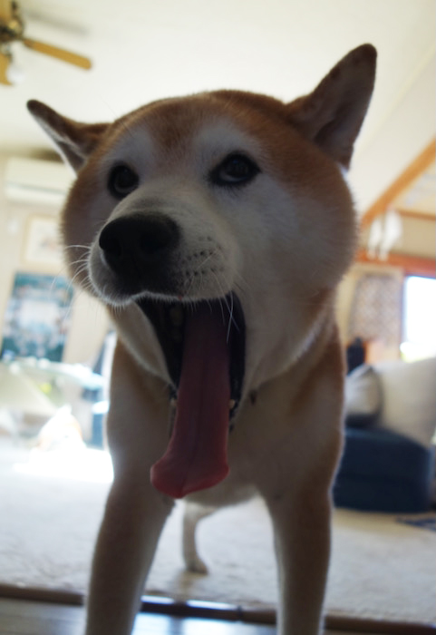 13日夜ブログ２