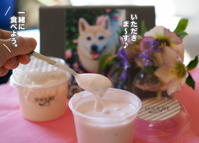 3日ブログ5