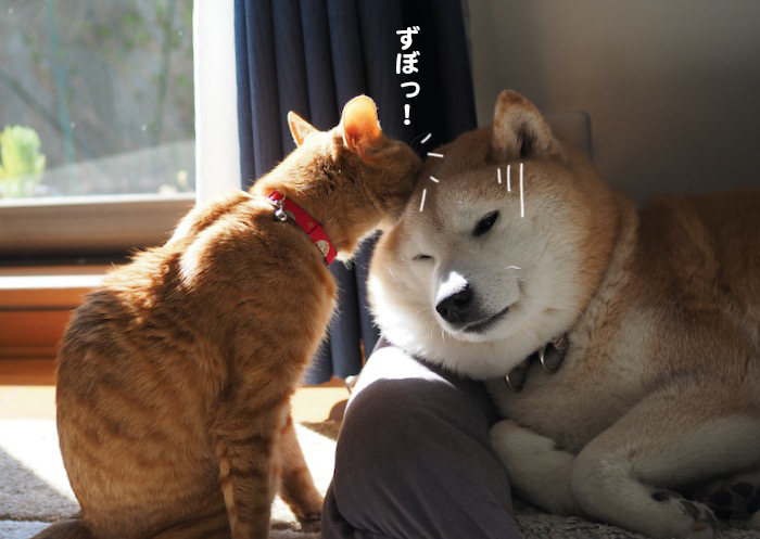 30日夕ブログ6