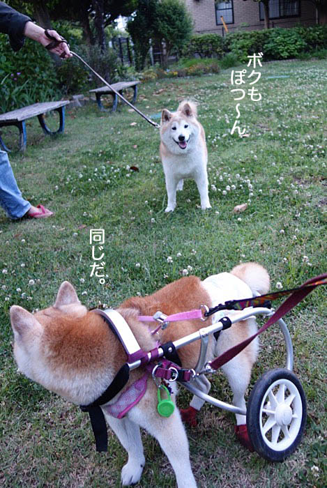 6日午後ブログ6