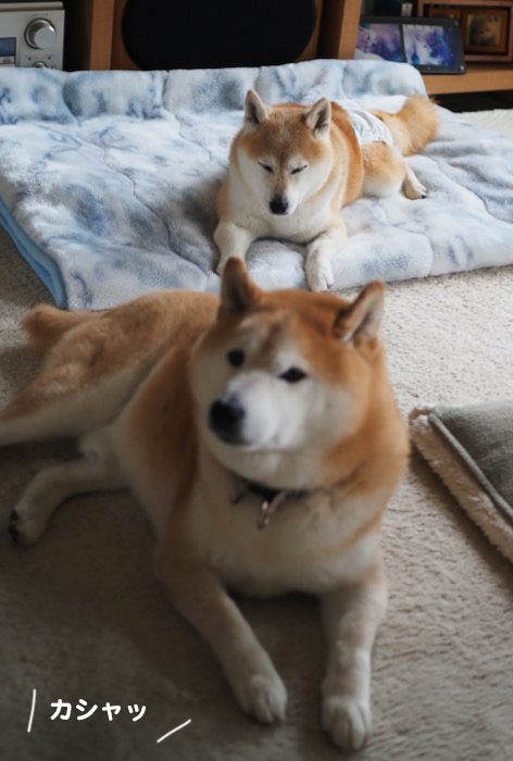 26日ブログ３