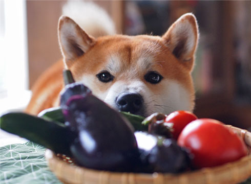 22日ブログ15.jpg