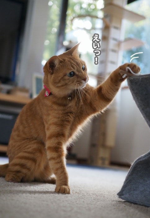 17日夕ブログ５